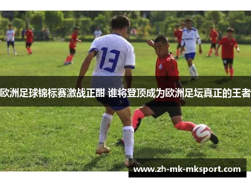欧洲足球锦标赛激战正酣 谁将登顶成为欧洲足坛真正的王者
